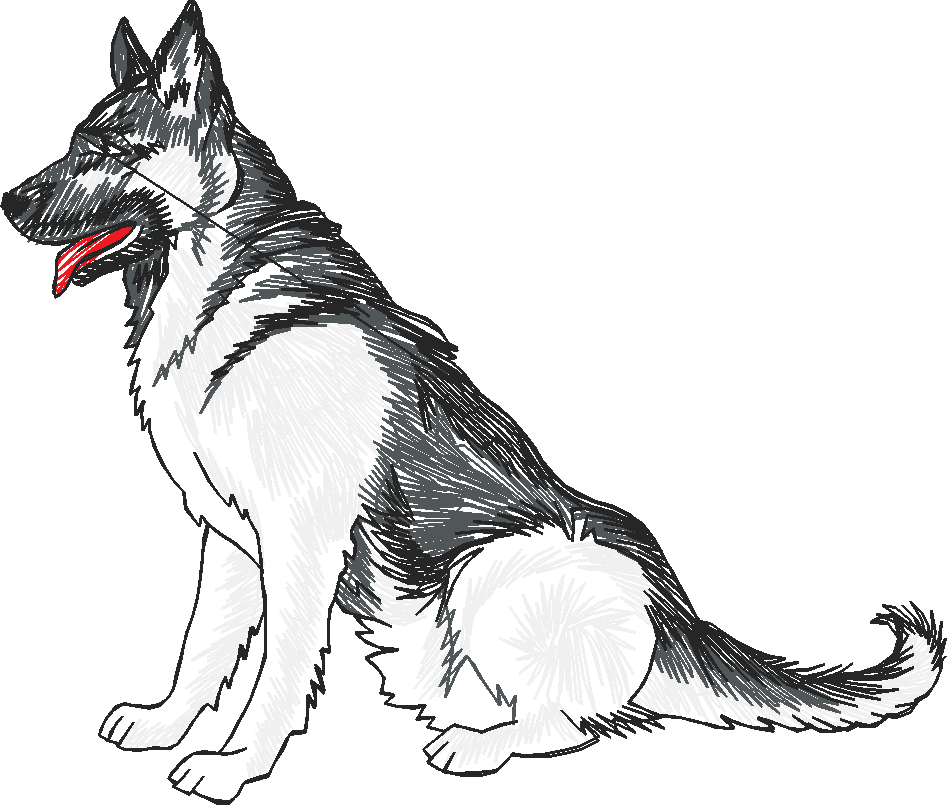 Dogs 19  (16)