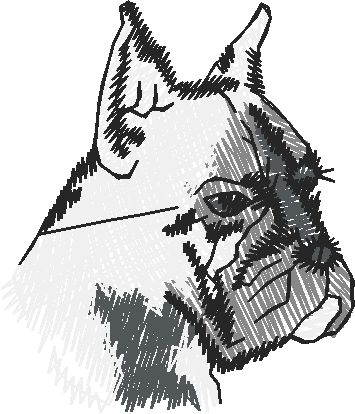 Dogs 19  (17)