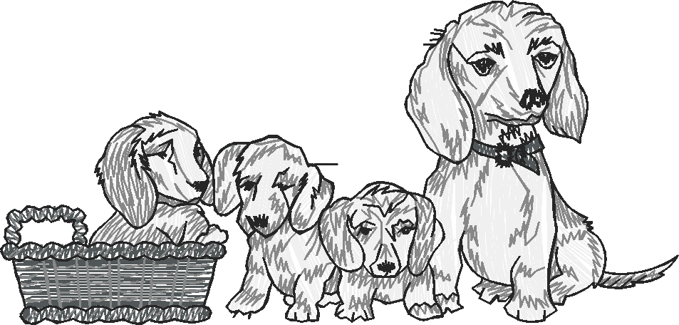 Dogs 19  (24)