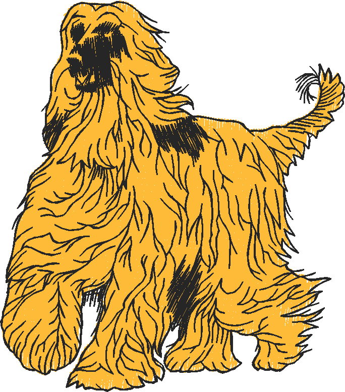 Dogs 20  (14)