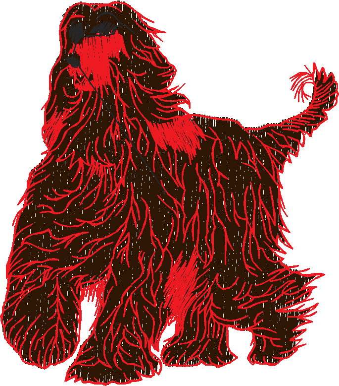 Dogs 22  (5)