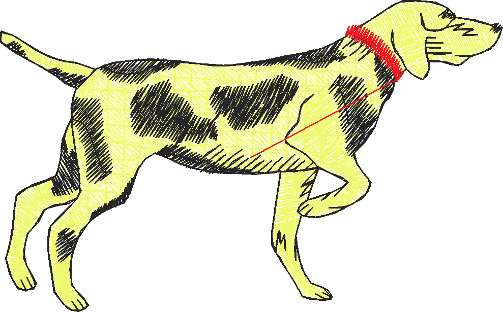 Dogs 22  (7)