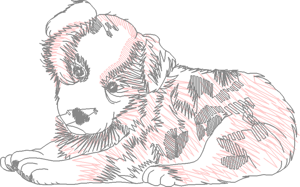 Dogs 23  (19)