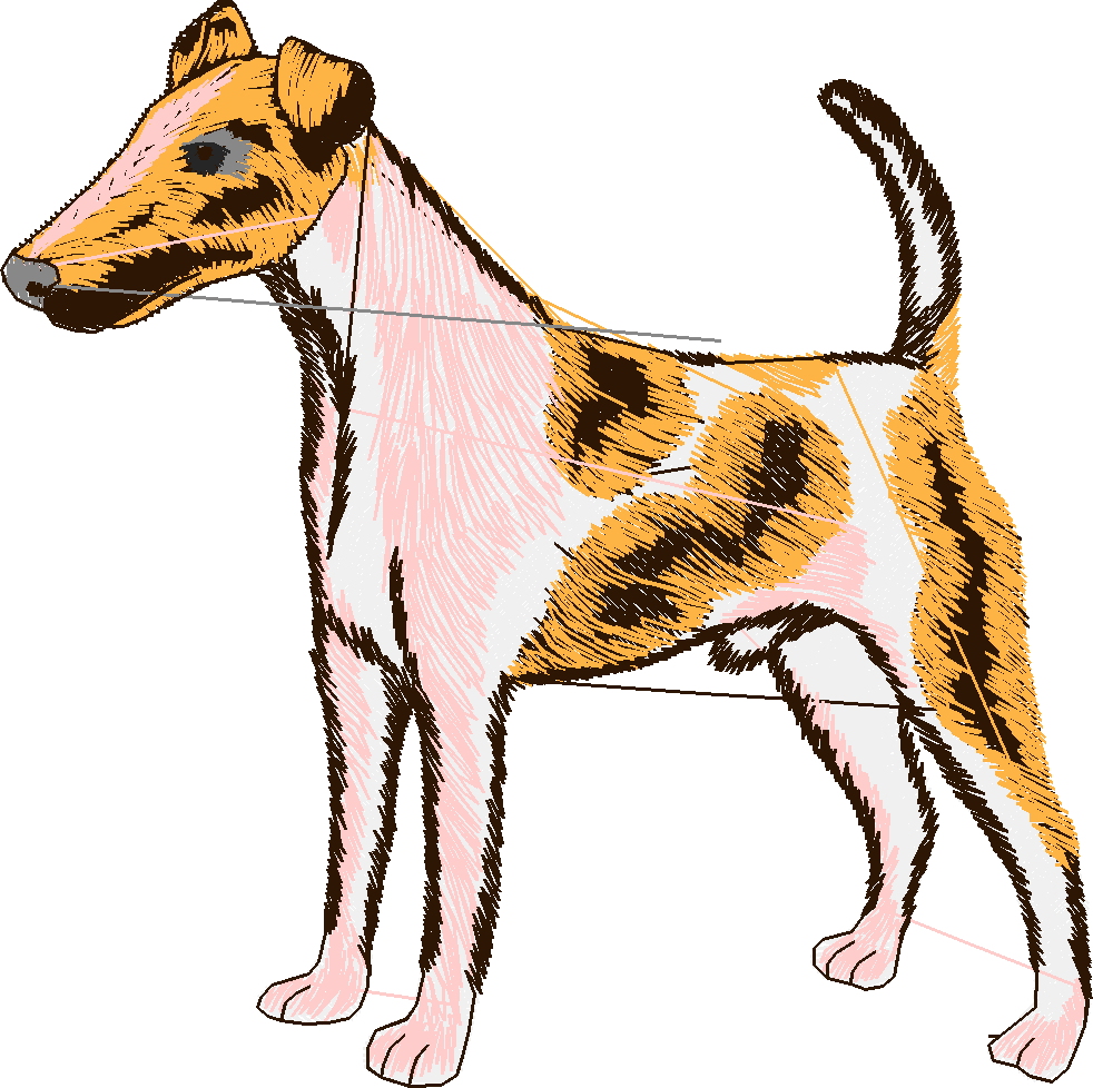 Dogs 3  (11)