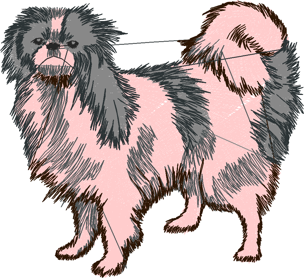Dogs 3  (14)