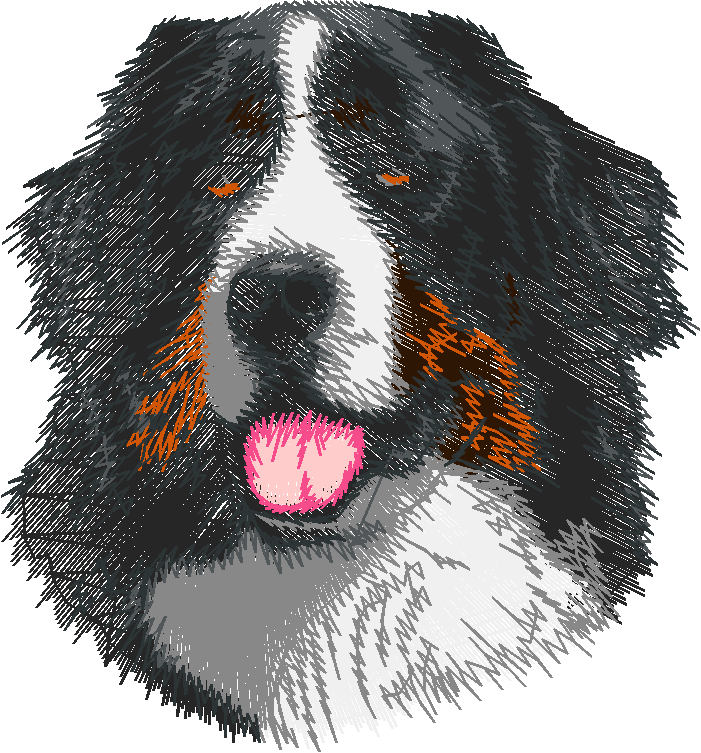 Dogs 5  (43)