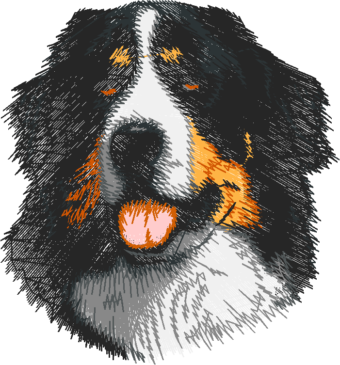 Dogs 5  (46)