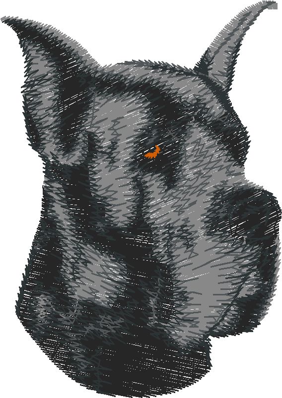 Dogs 5  (78)