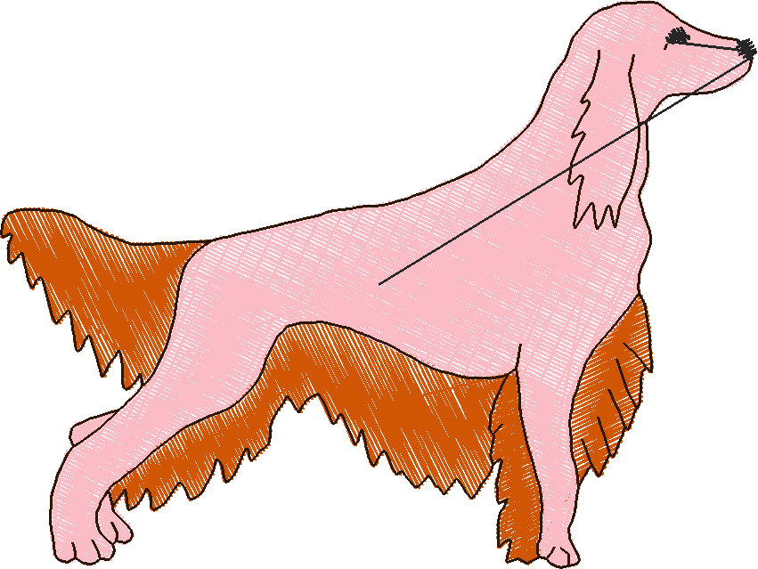 Dogs 6  (86)