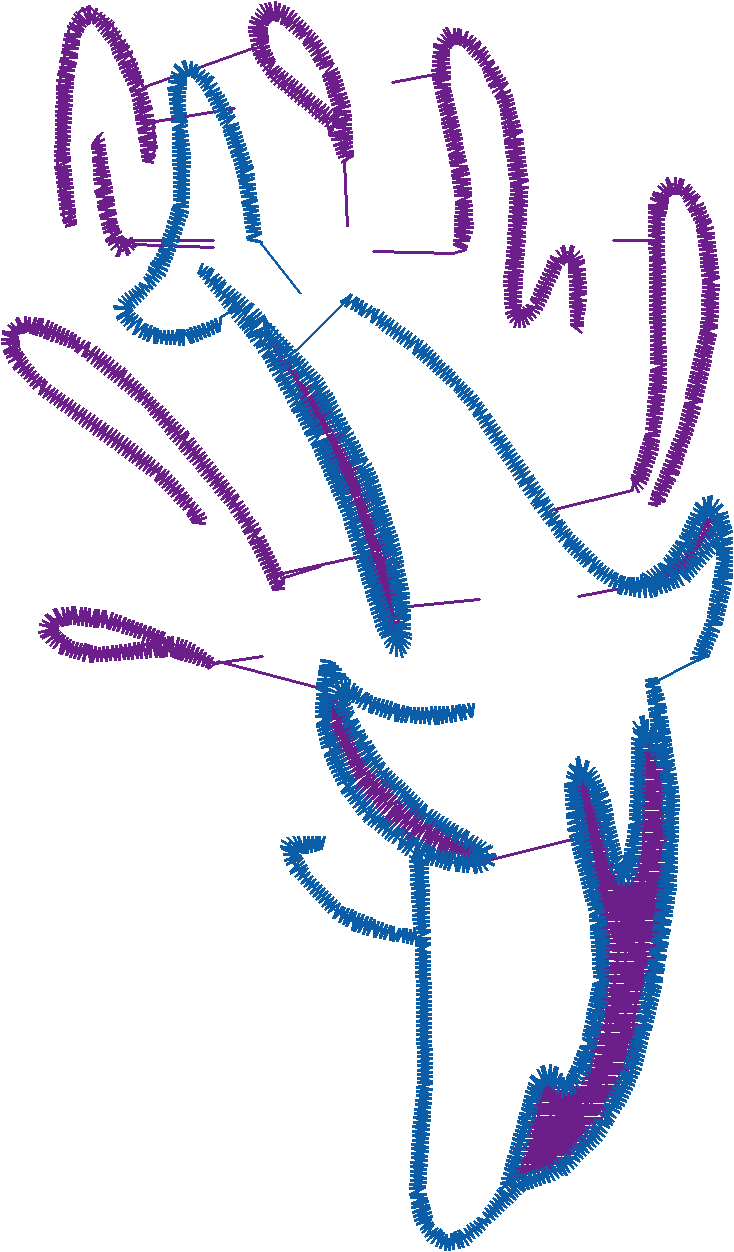 Dolphins 5  (14)