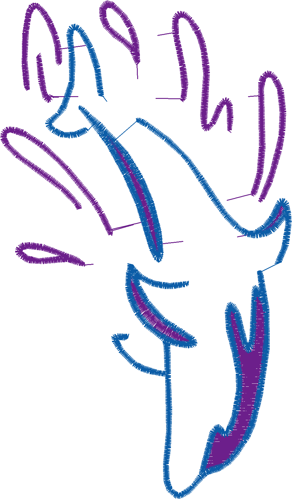 Dolphins 5  (15)