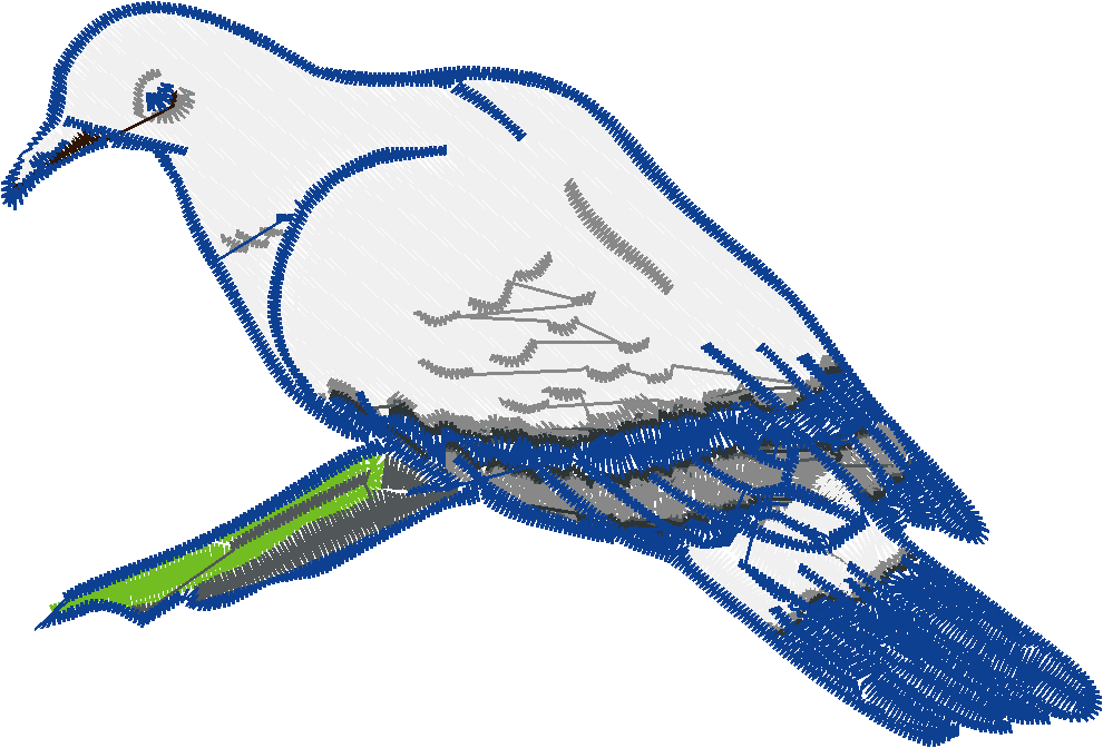 Doves 1  (6)
