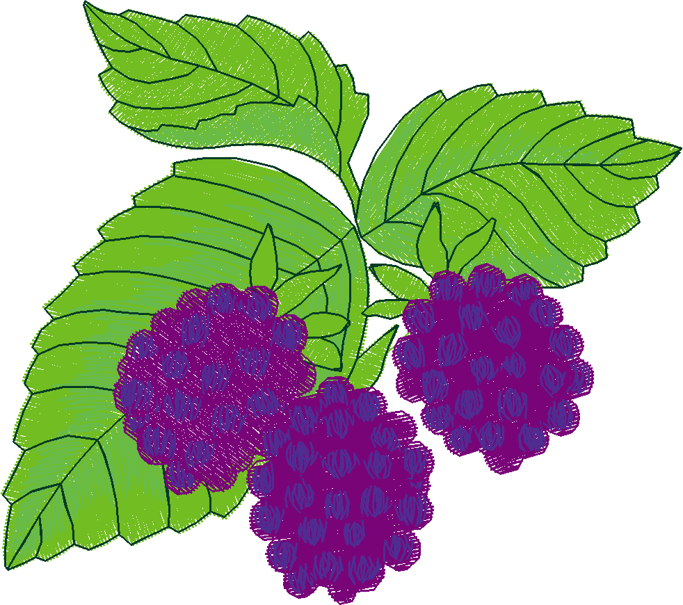 Fancy Fruit
