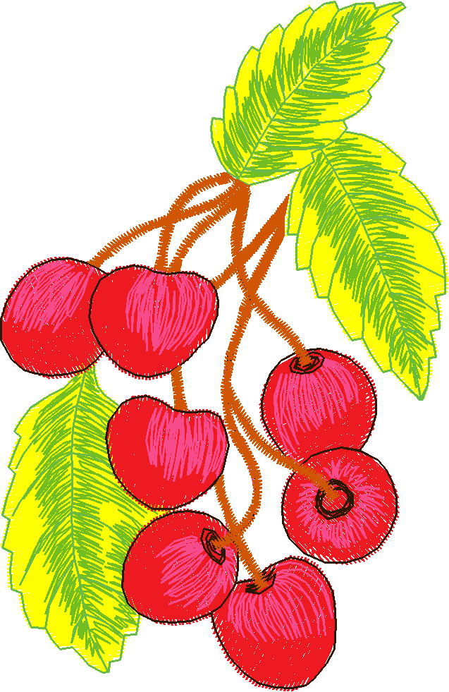 Fancy Fruit 1 (8)