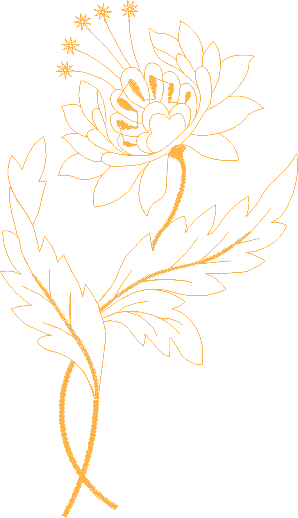 Fantasia 1  (15)