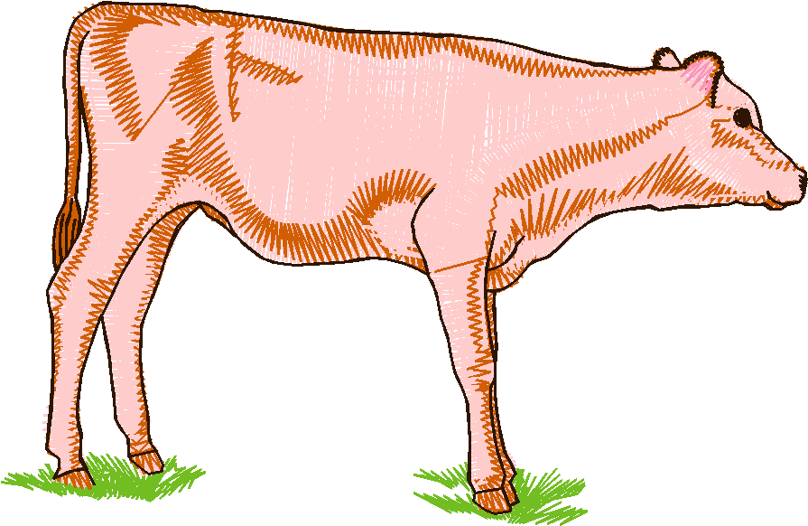 Ws146