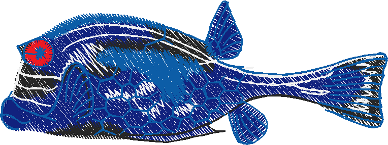 Fish 3  (14)