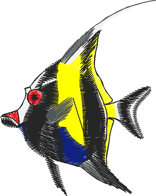 Fish 3  (16)