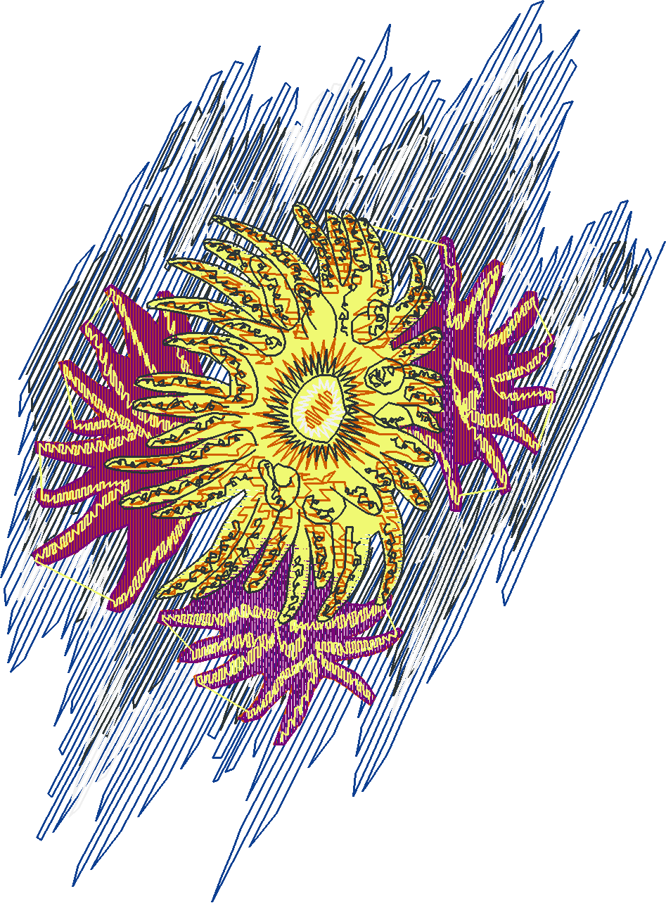 Fish 5  (16)