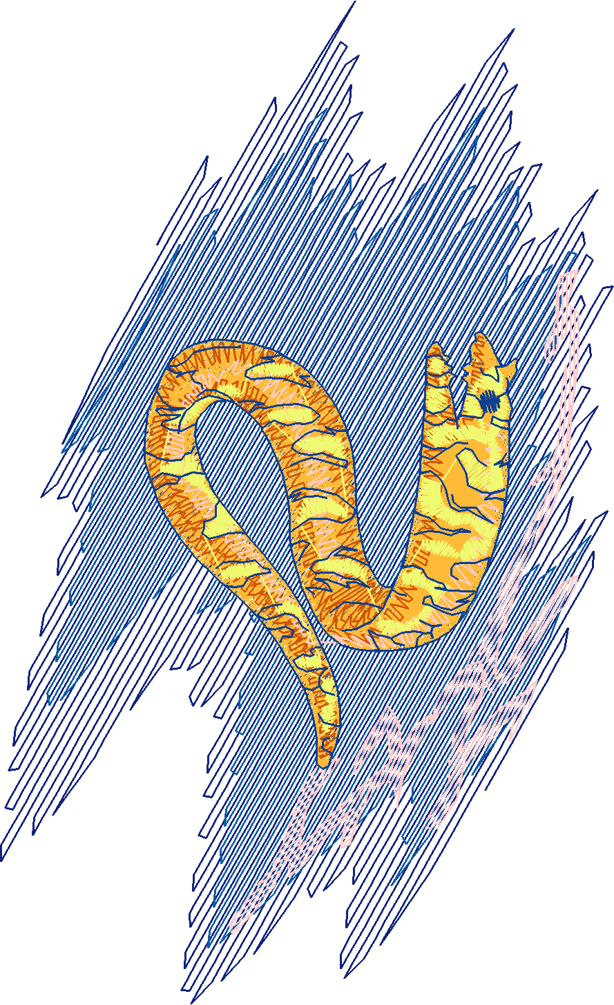 Fish 5  (3)