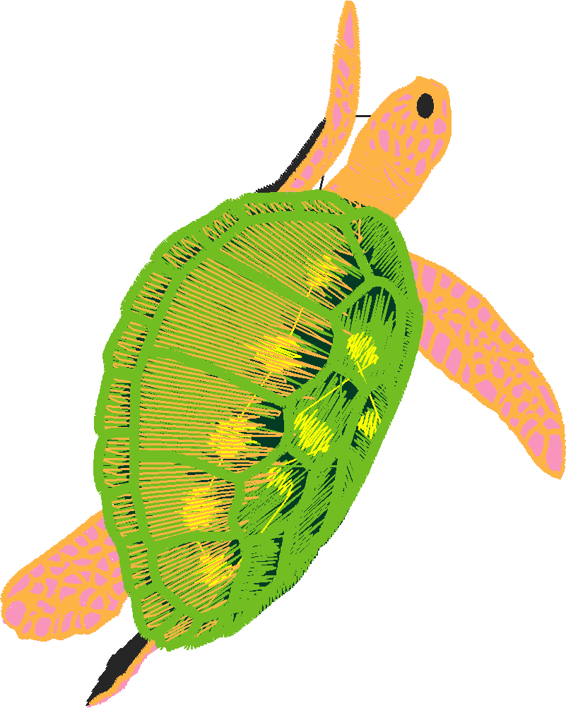 Fish 6  (19)