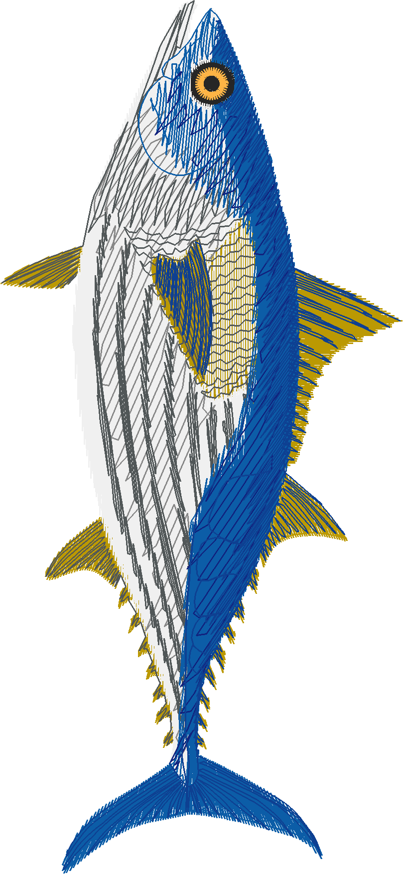 Fish 7  (1)