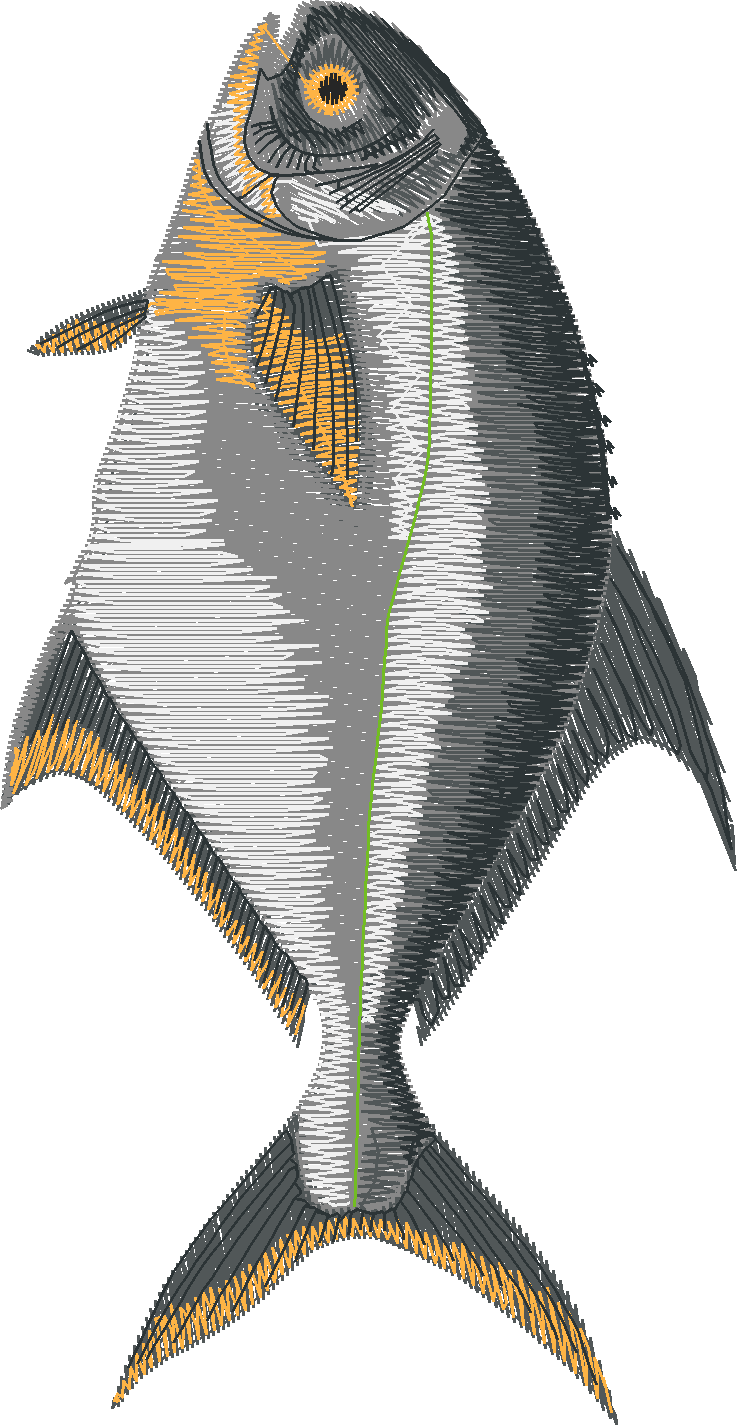 Fish 7  (5)