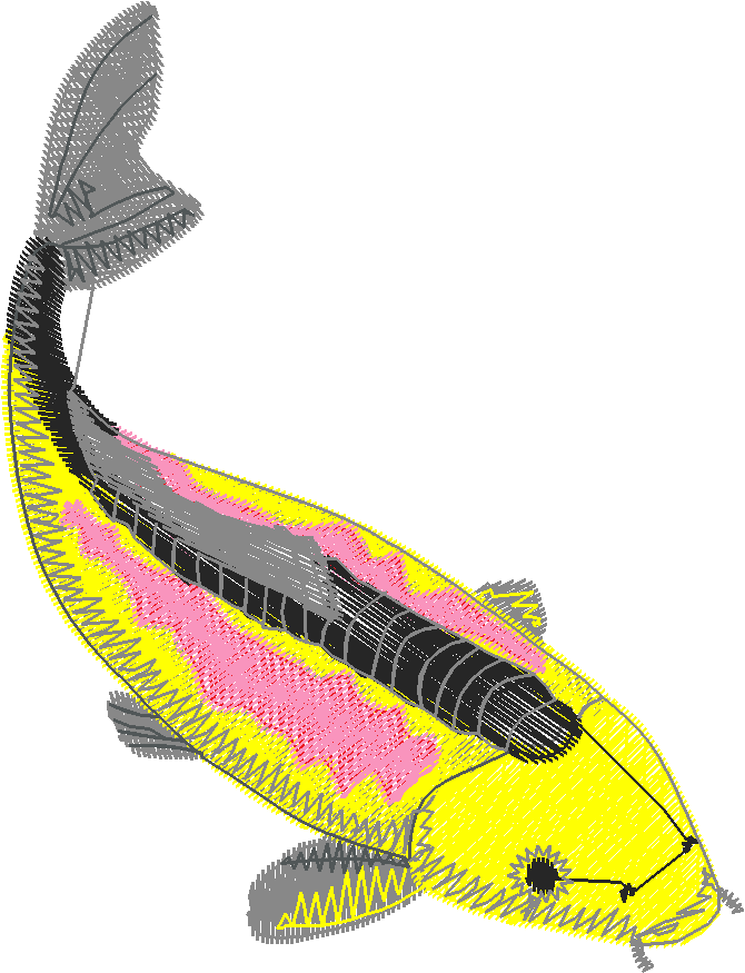 Fish 9  (5)