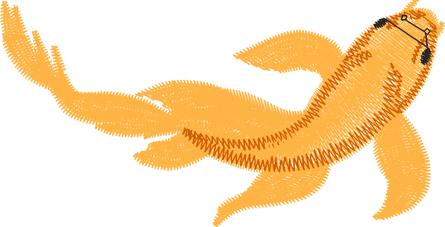 Fish 9  (7)