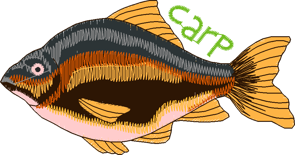 Fishing 1  (20)
