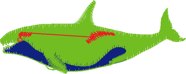 Fishy 1  (25)
