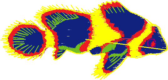 Fishy 1  (80)