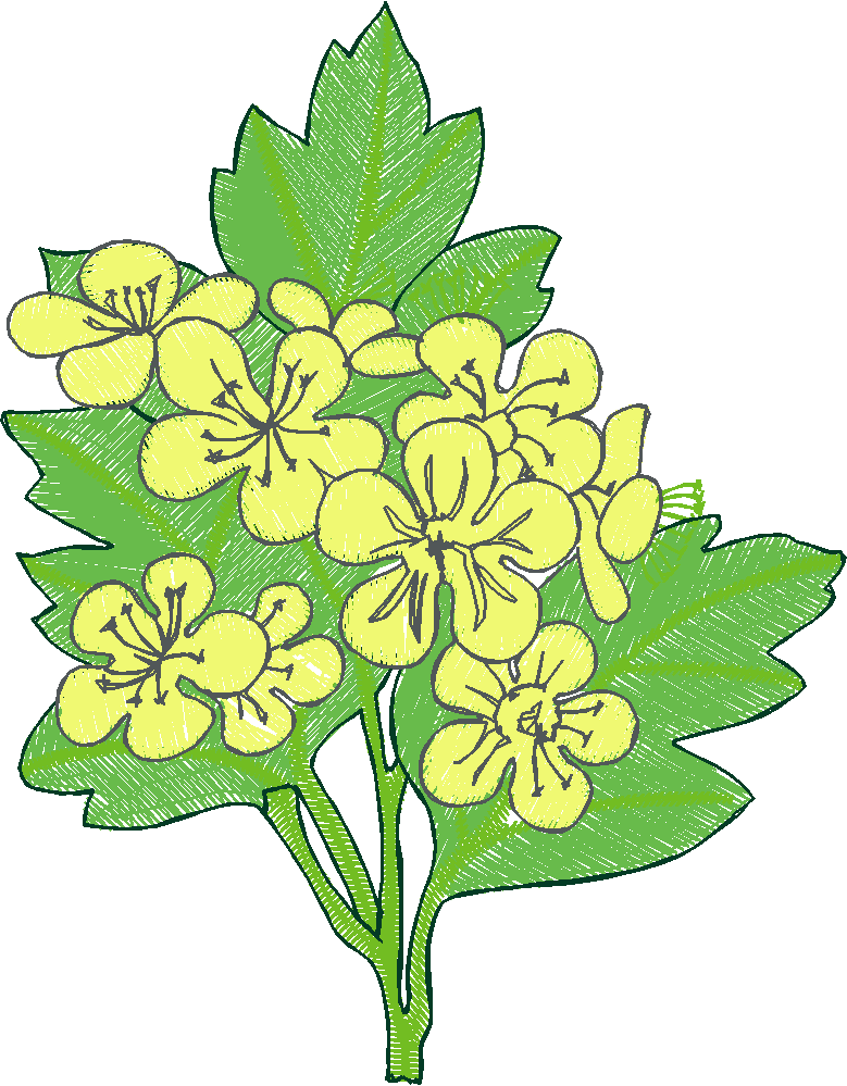 Floral 100 (15)