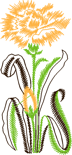 Floral 111  (17)