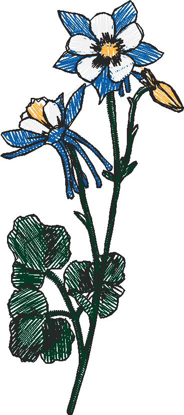 Floral 126  (19)