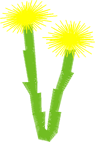Floral 134  (11)