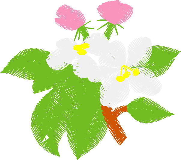 Floral 134  (33)