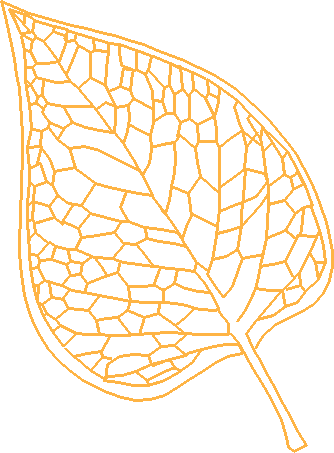 Floral 143  (12)