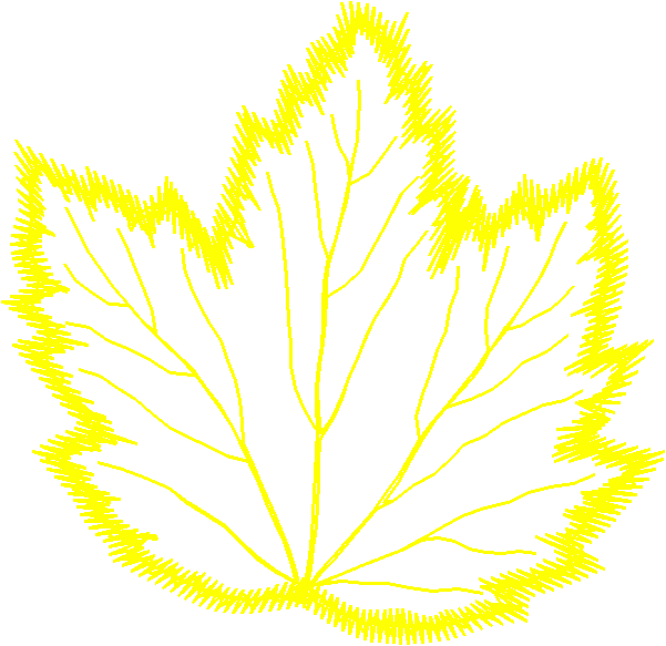 Floral 143  (14)