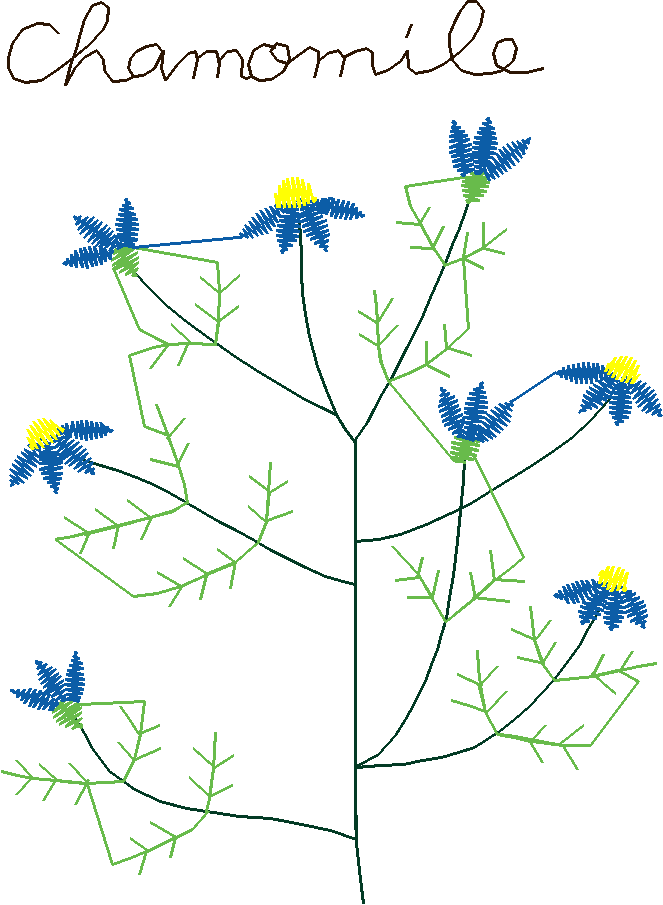 Floral 158 (97)