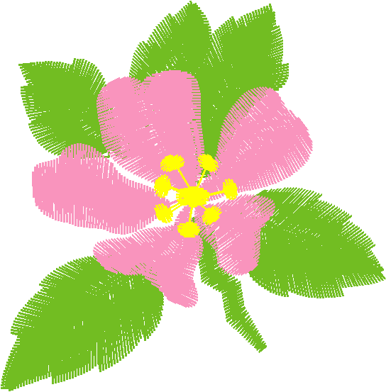 Floral 159 (95)