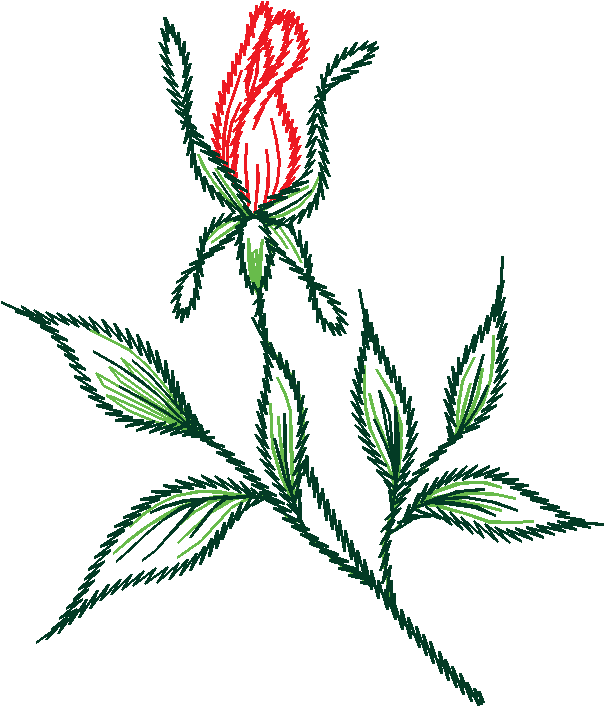 Floral 167 (43)