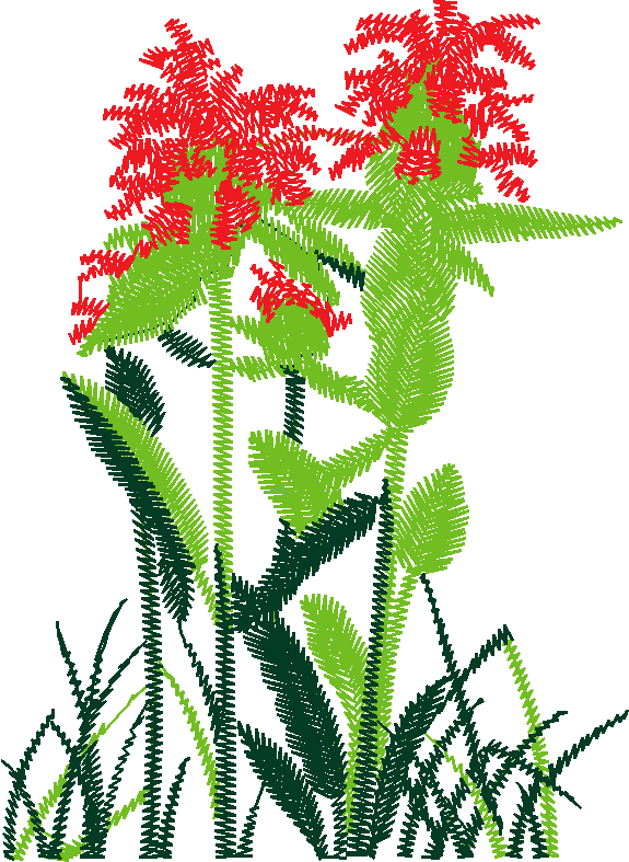 Floral 180 (50)