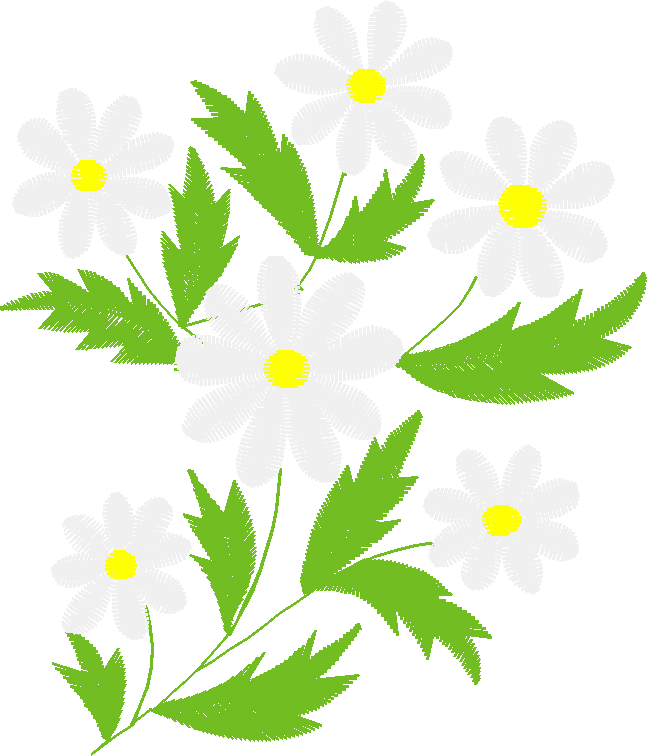 Floral 181 (23)