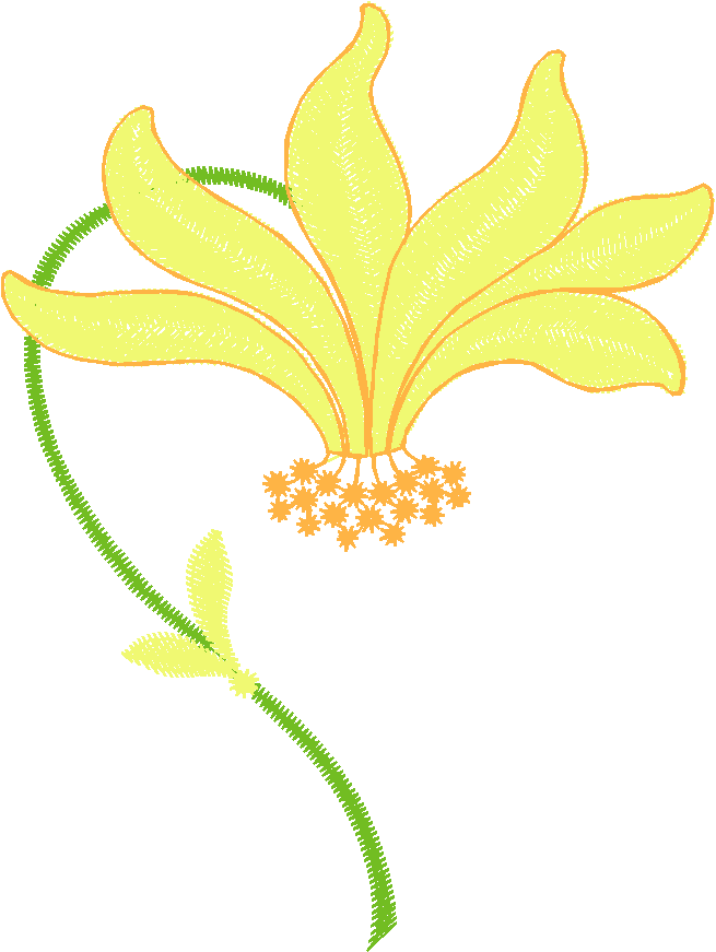 Floral 193  (7)