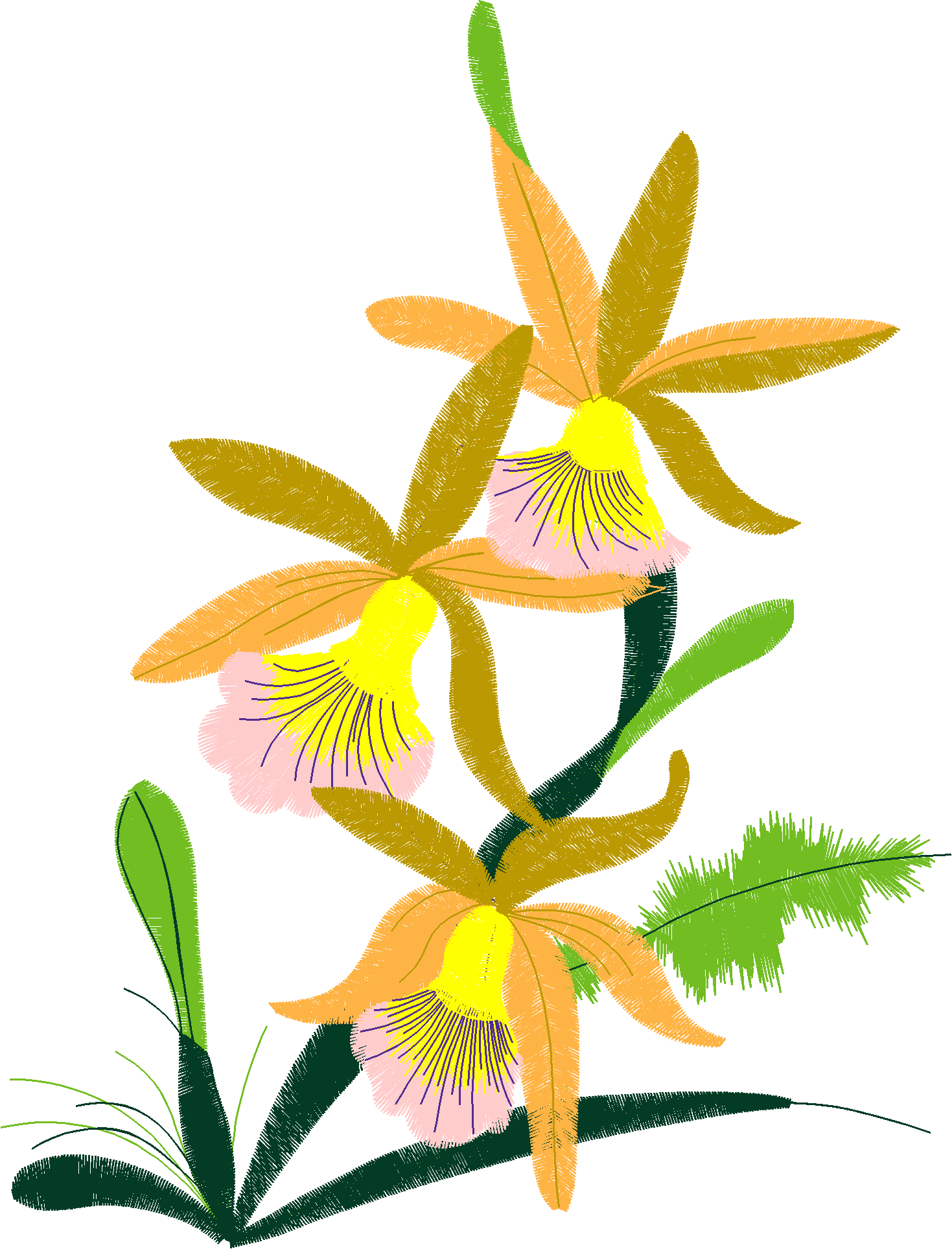 Floral 211  (64)