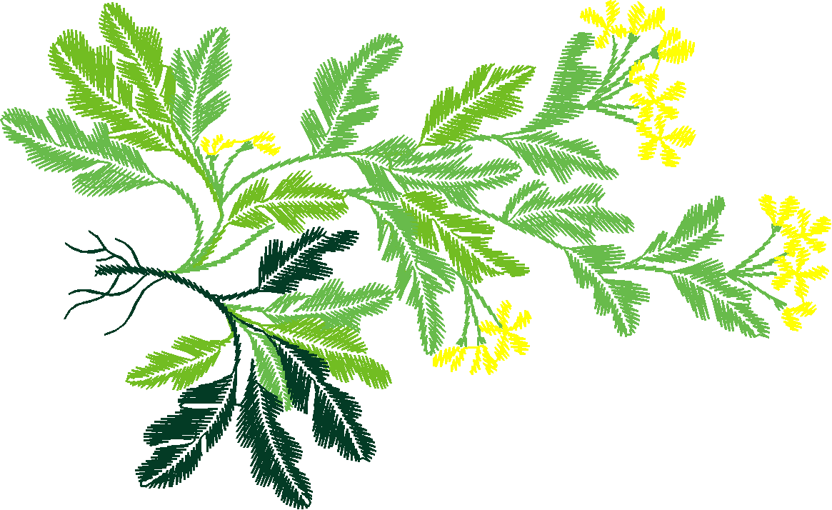Floral 222  (2)