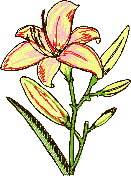 Floral 225  (18)