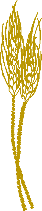 Floral 225  (6)