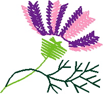 Floral 33  (9)